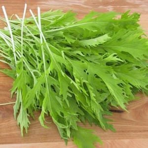 BOUQUET MIZUNA - Moutarde japonaise utilisée crue ou cuite comme condiment dans une salade, un plat -